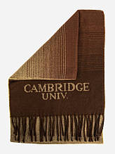 Чоловічий теплий шарф стильний з акрилу з бахромою Cambridge коричневого кольору