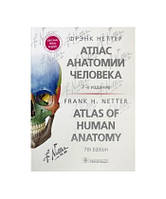 Неттер Атлас анатомії людини 2021 р. 7-е видання (Руський + Eng + Літин)