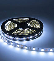 Лента LED IP54 SMD 5050 белая