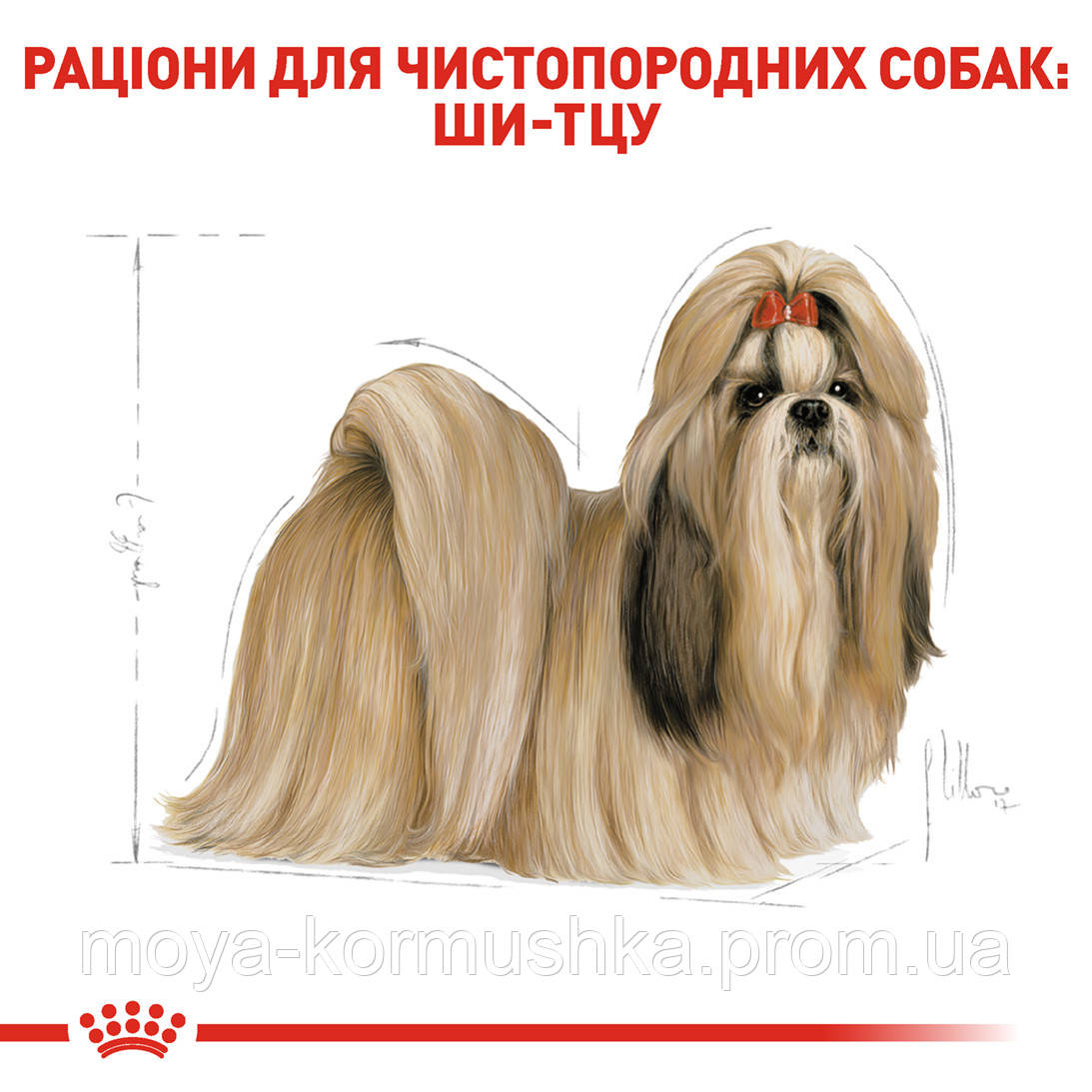 Сухой корм Royal Canin Shih Tzu Adult для взрослых собак породы Ши-Тцу - фото 5 - id-p583531187