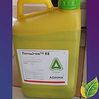 Израильский гербицид Пендиган 10л (Стомп) Adama/Адама (Syngenta Group)