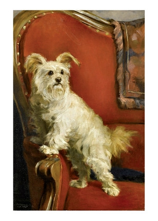 Листівка Toy Terrier on a Red Chair, фото 1