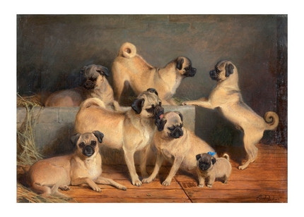 Листівка A Family of Pugs, фото 1
