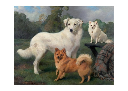 Листівка Snowball, Marco, Janey, фото 1