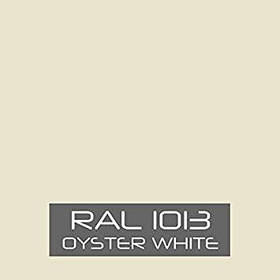 Поліефірна порошкова фарба Etika RAL 1013 шагрень