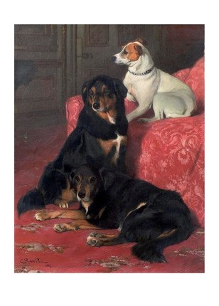 Відкривання Noble, Noble and Spot, фото 1