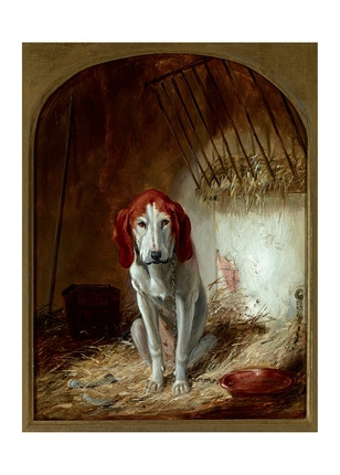 Листівка The Hound, фото 1