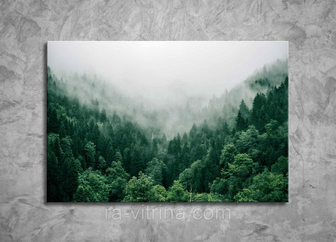 Картина природа полотно 60х40 см