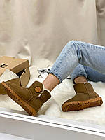 Теплые женские бежевые угги UGG Mini Bailey Button Beige водоотталкивающая пропитка. Зимние Угги с пуговыцей