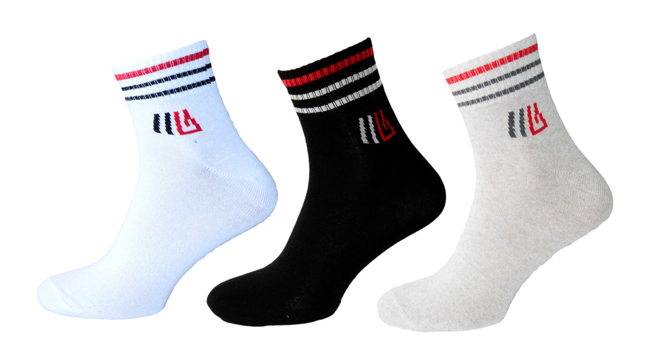 Чоловічі шкарпетки спортивні Lomani р.40-44 мікс