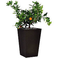 Горшок для цветов Keter Large Rattan Planter