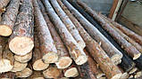 Стільчик дерев'яний (підтоварник) Сосна 2,5 метра, фото 2