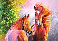 Картина за номерами 3D 2 в 1 алмазна мозаїка та розмальовка на підрамнику 40х50 см