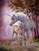 Картина за номерами 3D 2 в 1 алмазна мозаїка та розмальовка на підрамнику 40х50 см