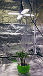 Фитолампа E27 50W 552LED (Повний спектр. Фитосветильник. Фитопанель. Освітлення для рослин.) Soled.in.ua, фото 5