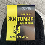 Шкарпетки чоловічі демісезонні бавовна 100% Житомир, Україна, розмір 27-29, чорні, 09842, фото 4