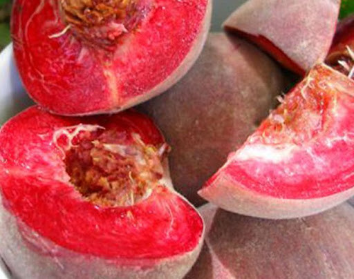 Персик Ерітрокарпа червоном'ясний (пізній), фото 1