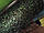 Фатин у рулончику — блискучий чорний хамелеон., фото 2