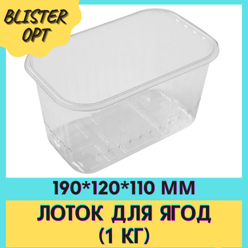 Лоток для Ягод (1 Кг) — Купить Недорого на Bigl.ua (909643387)