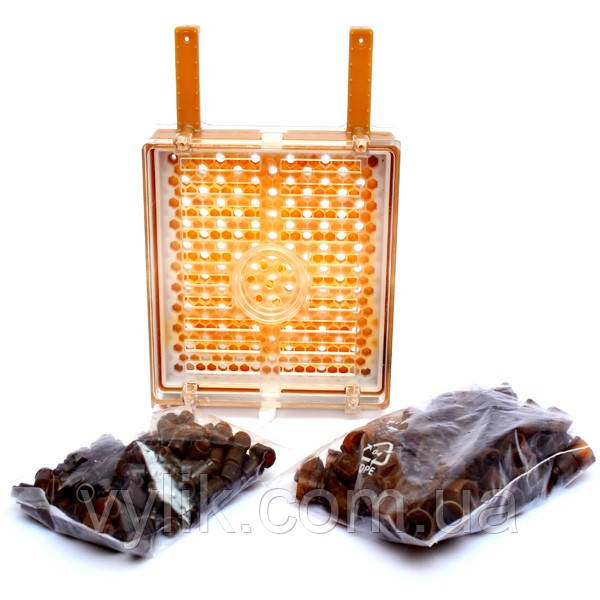 Джентерський стіл (стандарт), фото 1