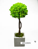 Дерево з мохом, топіарій, 40 см T19