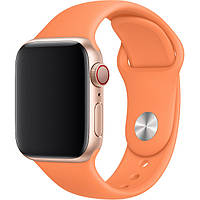 Силиконовый ремешок для Apple watch 38mm / 40mm (Orange) Оранжевый