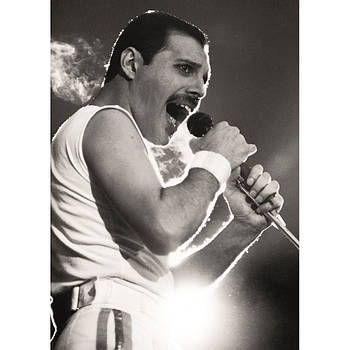 Постер Freddie Mercury
