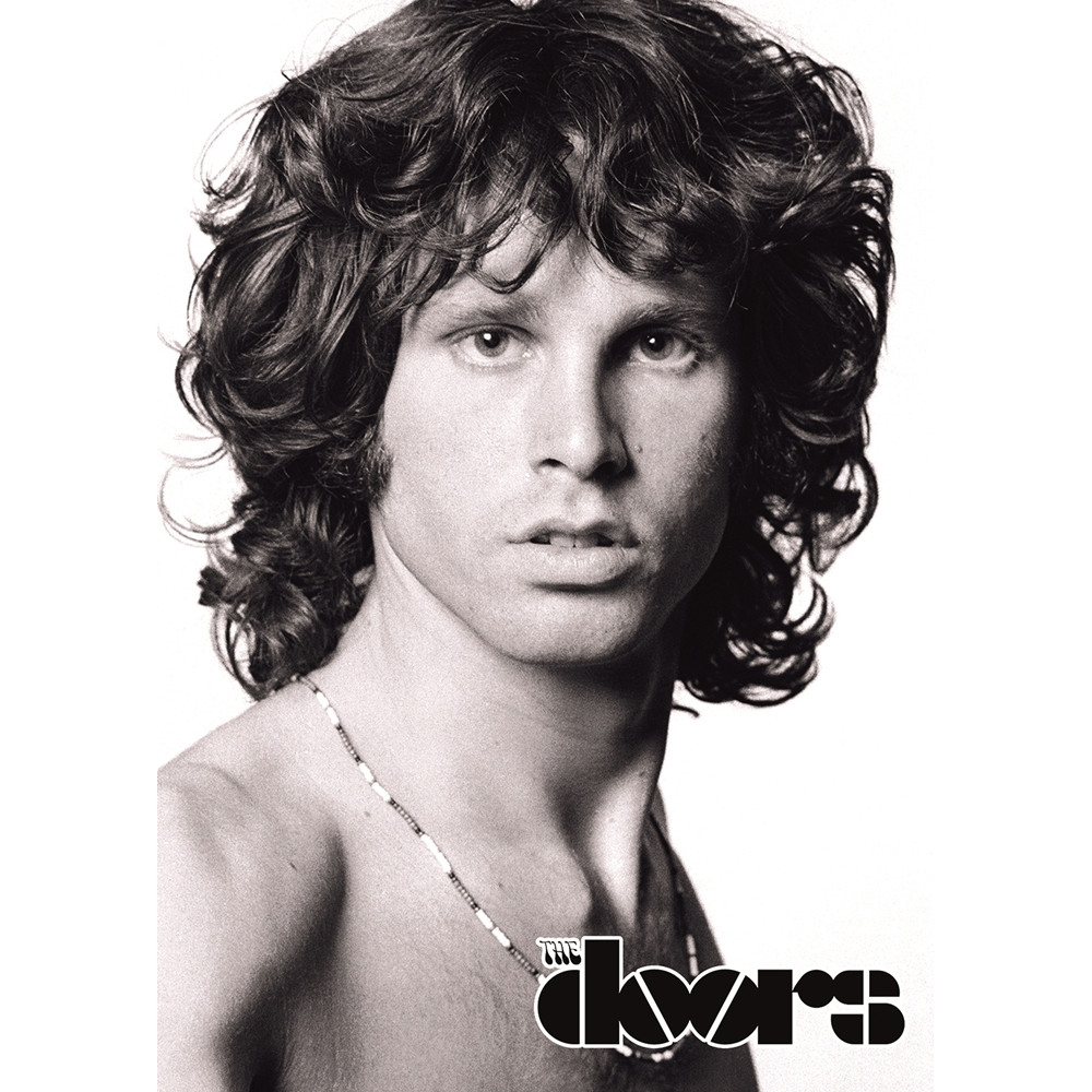 Постер The Doors продажа, цена в Украине.