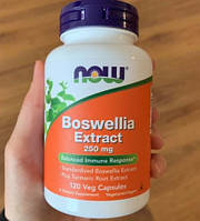 Екстракт босвелії NOW Foods Boswellia Extract 250 mg 120 капсул