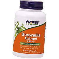 Екстракт босвелії NOW Foods Boswellia Extract 250 mg 120 капсул