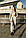 Костюм женский серый " Loop " спортивный Intruder осенний весенний летний трикотажный светлый, фото 6