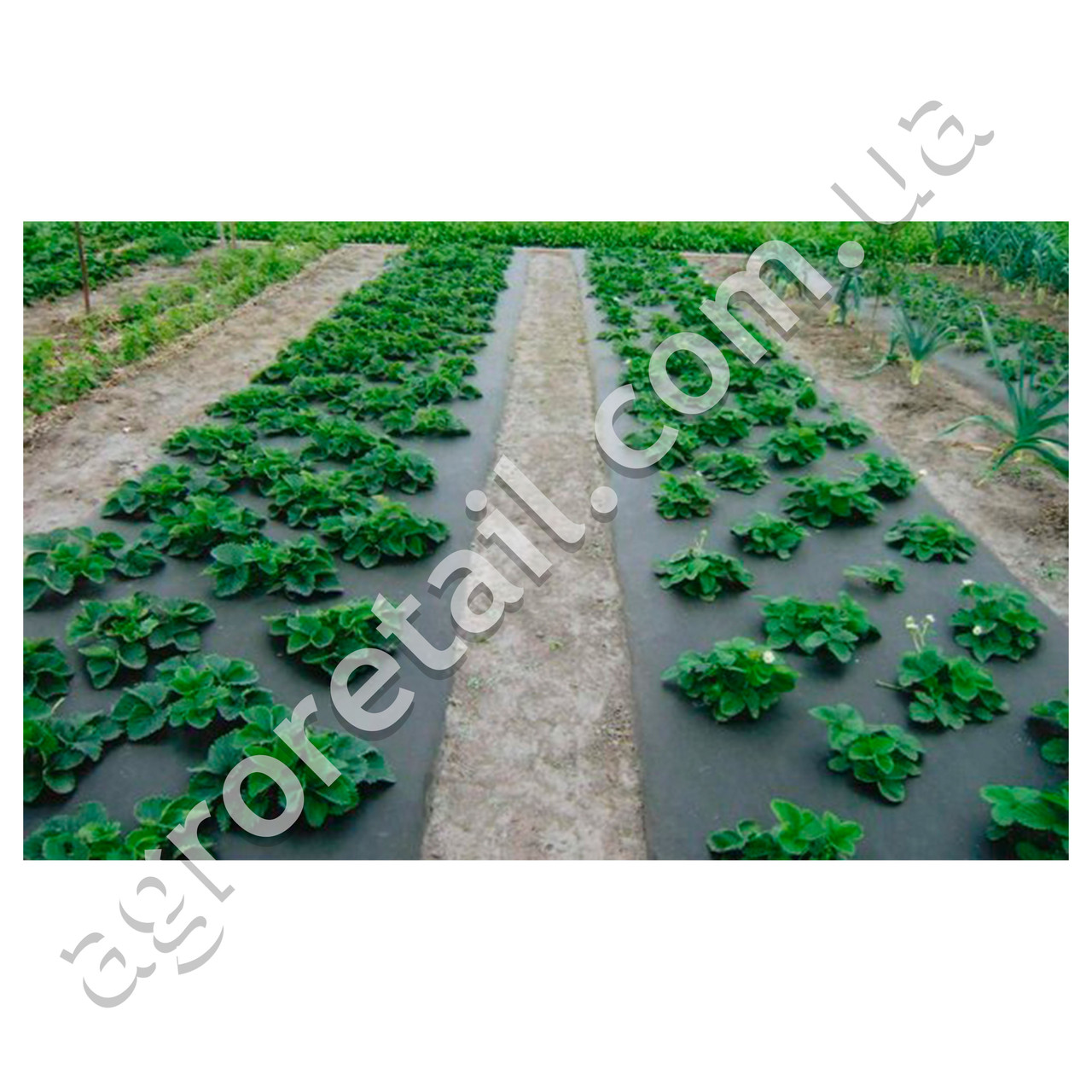 Агроволокно Premium-Agro укрывное чёрное плотность 50 пакет 3.2x10 м - фото 4 - id-p1520468968