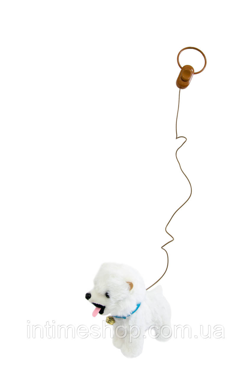 Интерактивная собака "Белый шпиц" 23х22 см, плюшевая собачка на поводке игрушка ходячая (іграшка собака) (TI) - фото 5 - id-p1520827895