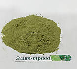 Порошок зародків молодої пшениці (витграс) 500 грам, фото 3