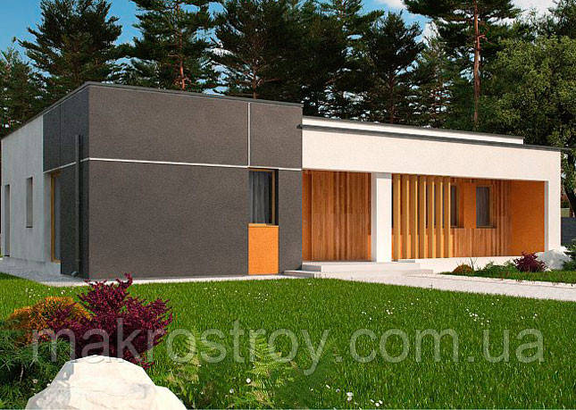 S102 BG. gроєкт одноповерхового будинку в стилі хай-тек, фото 1