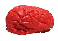 Мозги кровавые (декор на Хелоуин) ОСТ