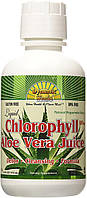 Хлорофіл рідкий з алое вера (Chlorophyll with Aloe Vera Juice Liquid)