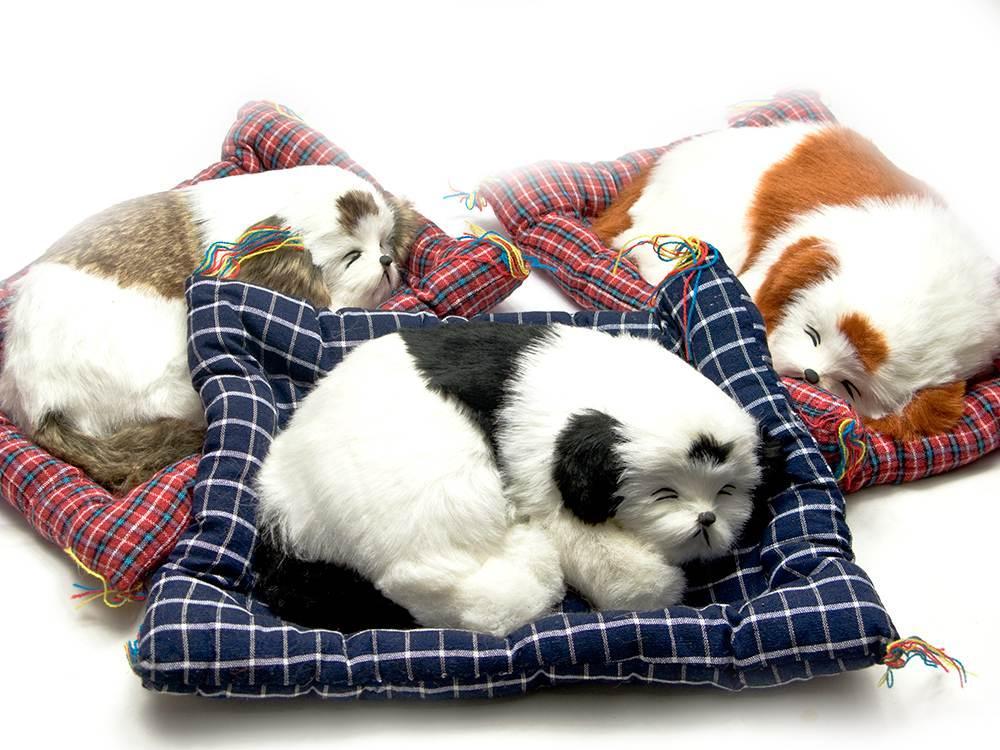 Цуценя, що спить на килимку (34х26х7 см), фото 1