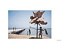 Книга Alex Webb Rebecca and Norris Webb: Violet Isle (signed)., фото 5