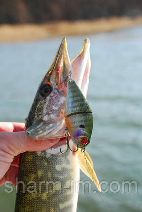 Воблер Pontoon 21 Bully-Boo 60SS Slow-Sinking 0.5-1,0 м, фото 3