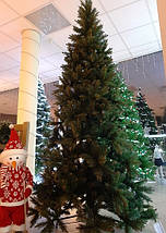 Ялинка 215 см, Edulis зелена, фото 4