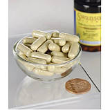 Серразим Swanson Double Strength Serrazimes 66,7 мг (40.000 units) 60 вегетаріанських капсул, фото 4