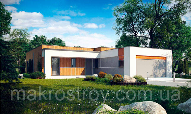 S103. Проект современного одноэтажного дома с плоской крышей - фото 1 - id-p238771295