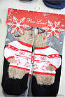 ОПТОМ Шкарпетки 2 пари махрові новорічні "Ведмідь у кофті" р. 35-40 (24-26(38-40) див.) Pier Lone 8681788481988, фото 2