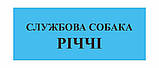 Таблички на двері, фото 4