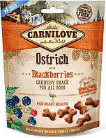 Carnilove Crunchy Snack Ostrich with Blackberries ласощі для собак з м'ясом страуса та ожиною, 200 г