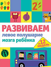 Розвиваємо ліве півкурі мозку дитини за 12 тижнів