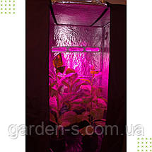 Гроубокс Джин комплект 120*120*200 на 9 рослин, фото 3