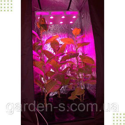 Гроубокс Джин комплект 120*120*200 на 9 рослин, фото 2