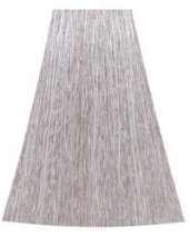 JNOWA Professional Siena 12/1 Спеціальний попелястий блонд, фото 1